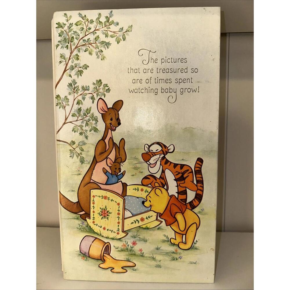 Winnie The Pooh Hallmark Baby Photo Album vintage 7" X 12" Vintage 1981